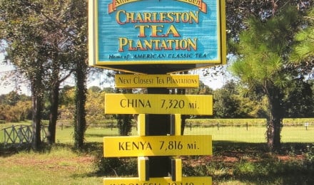 Admission to Charleston Tea Garden, Including a Trolley Tour